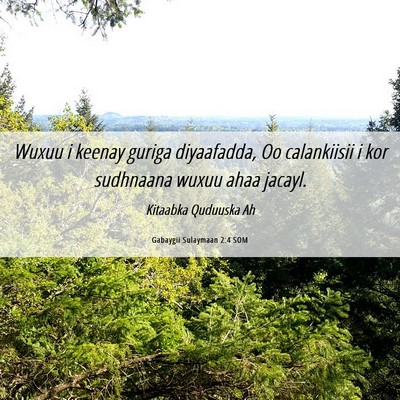 Picture 06 - Gabaygii Sulaymaan 2:4 SOM - Wuxuu i keenay guriga diyaafadda, Oo calankiisii - Bible Verse Picture