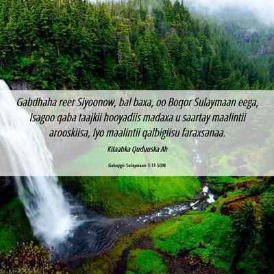 Picture 06 - Gabaygii Sulaymaan 3:11 SOM - Gabdhaha reer Siyoonow, bal baxa, oo Boqor - Bible Verse Picture