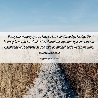 Picture 06 - Gabaygii Sulaymaan 4:16 SOM - Dabaysha woqooyay, soo kac, oo tan koonfureeday, - Bible Verse Picture