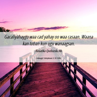 Picture 06 - Gabaygii Sulaymaan 5:10 SOM - Gacaliyahaygu waa cad yahay oo waa casaan. Waana - Bible Verse Picture