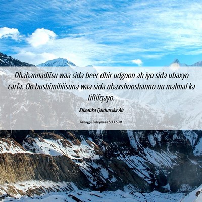 Picture 06 - Gabaygii Sulaymaan 5:13 SOM - Dhabannadiisu waa sida beer dhir udgoon ah iyo - Bible Verse Picture