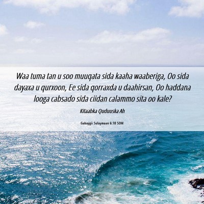 Picture 06 - Gabaygii Sulaymaan 6:10 SOM - Waa tuma tan u soo muuqata sida kaaha waaberiga, - Bible Verse Picture