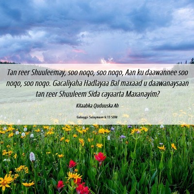 Picture 06 - Gabaygii Sulaymaan 6:13 SOM - Tan reer Shuuleemay, soo noqo, soo noqo, Aan ku - Bible Verse Picture