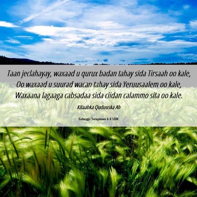 Picture 06 - Gabaygii Sulaymaan 6:4 SOM - Taan jeclahayay, waxaad u qurux badan tahay sida - Bible Verse Picture
