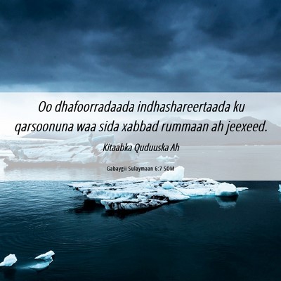 Picture 06 - Gabaygii Sulaymaan 6:7 SOM - Oo dhafoorradaada indhashareertaada ku qarsoonuna - Bible Verse Picture
