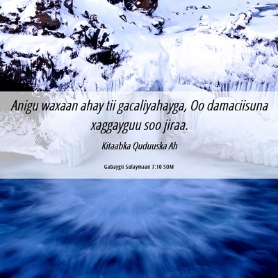 Picture 06 - Gabaygii Sulaymaan 7:10 SOM - Anigu waxaan ahay tii gacaliyahayga, Oo - Bible Verse Picture