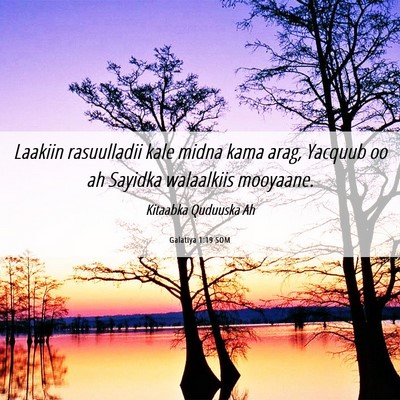 Picture 06 - Galatiya 1:19 SOM - Laakiin rasuulladii kale midna kama arag, Yacquub - Bible Verse Picture