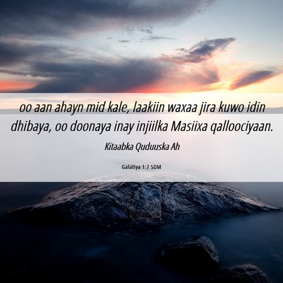 Picture 06 - Galatiya 1:7 SOM - oo aan ahayn mid kale, laakiin waxaa jira kuwo - Bible Verse Picture