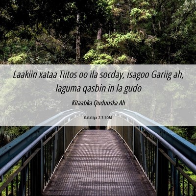 Picture 06 - Galatiya 2:3 SOM - Laakiin xataa Tiitos oo ila socday, isagoo Gariig - Bible Verse Picture