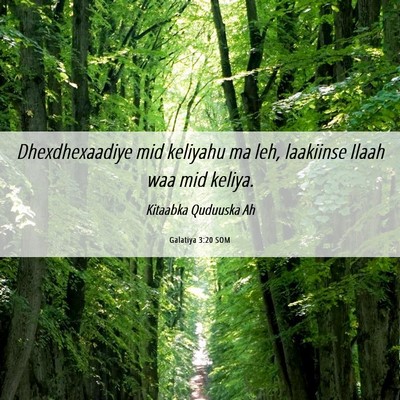 Picture 06 - Galatiya 3:20 SOM - Dhexdhexaadiye mid keliyahu ma leh, laakiinse - Bible Verse Picture