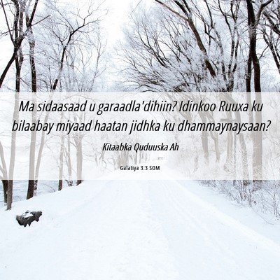 Picture 06 - Galatiya 3:3 SOM - Ma sidaasaad u garaadla'dihiin? Idinkoo Ruuxa ku - Bible Verse Picture