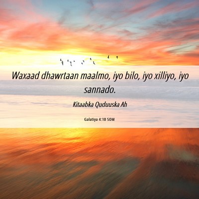 Picture 06 - Galatiya 4:10 SOM - Waxaad dhawrtaan maalmo, iyo bilo, iyo xilliyo, - Bible Verse Picture