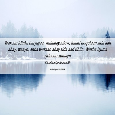Picture 06 - Galatiya 4:12 SOM - Waxaan idinka baryayaa, walaalayaalow, inaad - Bible Verse Picture