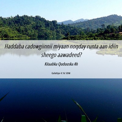 Picture 06 - Galatiya 4:16 SOM - Haddaba cadowgiinnii miyaan noqday runta aan - Bible Verse Picture