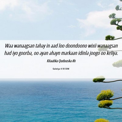 Picture 06 - Galatiya 4:18 SOM - Waa wanaagsan tahay in aad loo doondoono wixii - Bible Verse Picture