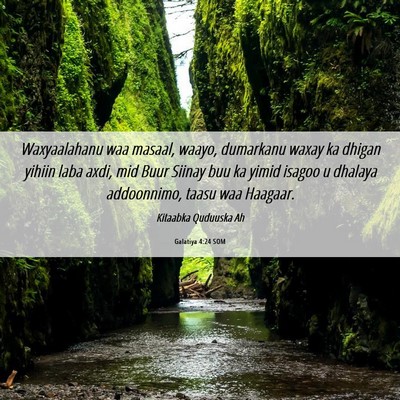 Picture 06 - Galatiya 4:24 SOM - Waxyaalahanu waa masaal, waayo, dumarkanu waxay - Bible Verse Picture