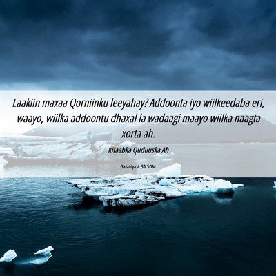 Picture 06 - Galatiya 4:30 SOM - Laakiin maxaa Qorniinku leeyahay? Addoonta iyo - Bible Verse Picture