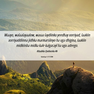 Picture 06 - Galatiya 5:13 SOM - Waayo, walaalayaalow, waxaa laydiinku yeedhay - Bible Verse Picture