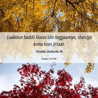 Picture 06 - Galatiya 5:18 SOM - Laakiinse haddii Ruuxu idin hoggaamiyo, sharciga - Bible Verse Picture