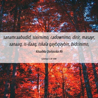 Picture 06 - Galatiya 5:20 SOM - sanamcaabudid, sixirnimo, cadownimo, dirir, - Bible Verse Picture