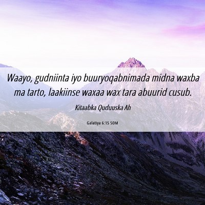 Picture 06 - Galatiya 6:15 SOM - Waayo, gudniinta iyo buuryoqabnimada midna waxba - Bible Verse Picture