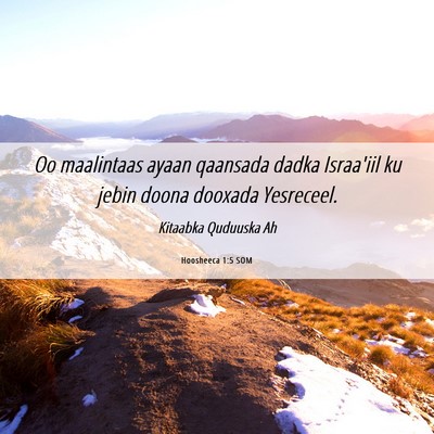 Picture 06 - Hoosheeca 1:5 SOM - Oo maalintaas ayaan qaansada dadka Israa'iil ku - Bible Verse Picture