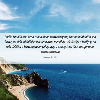 Picture 06 - Hoosheeca 10:1 SOM - Dadka Israa'iil waa geed canab ah oo - Bible Verse Picture