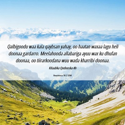 Picture 06 - Hoosheeca 10:2 SOM - Qalbigoodu waa kala qaybsan yahay, oo haatan - Bible Verse Picture