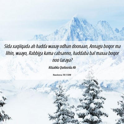 Picture 06 - Hoosheeca 10:3 SOM - Sida xaqiiqada ah hadda waxay odhan doonaan, - Bible Verse Picture