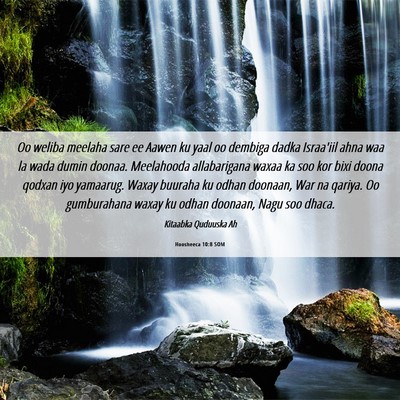 Picture 06 - Hoosheeca 10:8 SOM - Oo weliba meelaha sare ee Aawen ku yaal oo - Bible Verse Picture