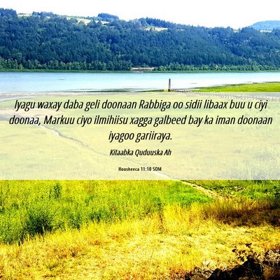 Picture 06 - Hoosheeca 11:10 SOM - Iyagu waxay daba geli doonaan Rabbiga oo sidii - Bible Verse Picture