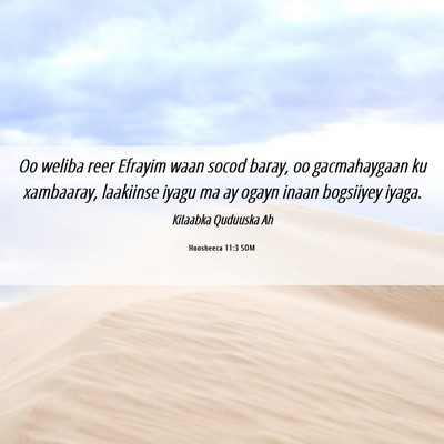 Picture 06 - Hoosheeca 11:3 SOM - Oo weliba reer Efrayim waan socod baray, oo - Bible Verse Picture