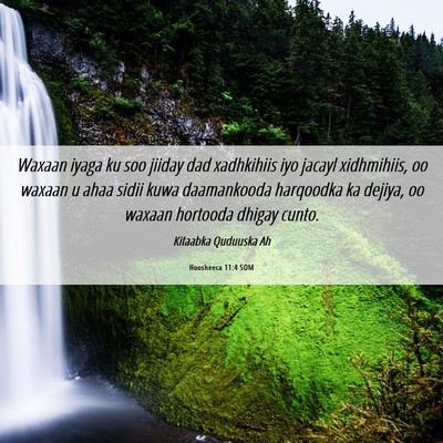Picture 06 - Hoosheeca 11:4 SOM - Waxaan iyaga ku soo jiiday dad xadhkihiis iyo - Bible Verse Picture