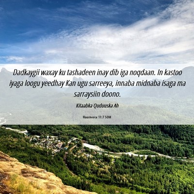 Picture 06 - Hoosheeca 11:7 SOM - Dadkaygii waxay ku tashadeen inay dib iga - Bible Verse Picture
