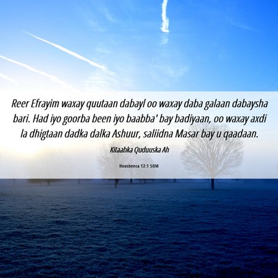Picture 06 - Hoosheeca 12:1 SOM - Reer Efrayim waxay quutaan dabayl oo waxay daba - Bible Verse Picture
