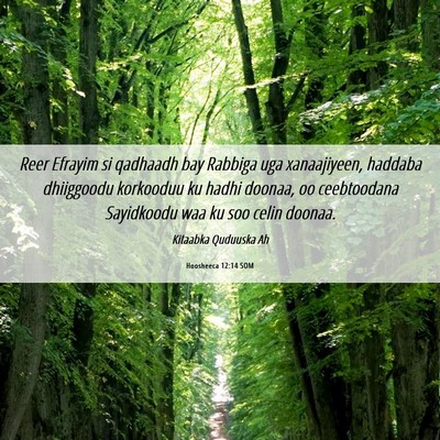 Picture 06 - Hoosheeca 12:14 SOM - Reer Efrayim si qadhaadh bay Rabbiga uga - Bible Verse Picture