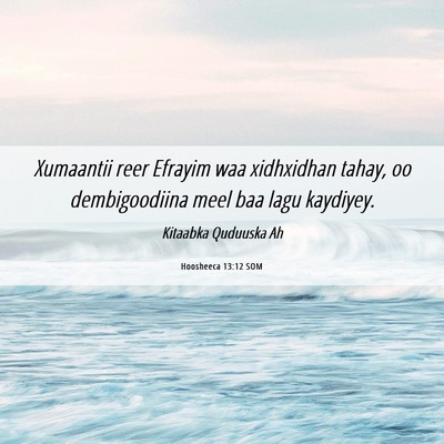 Picture 06 - Hoosheeca 13:12 SOM - Xumaantii reer Efrayim waa xidhxidhan tahay, oo - Bible Verse Picture
