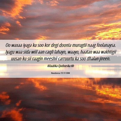 Picture 06 - Hoosheeca 13:13 SOM - Oo waxaa iyaga ku soo kor degi doonta murugtii - Bible Verse Picture