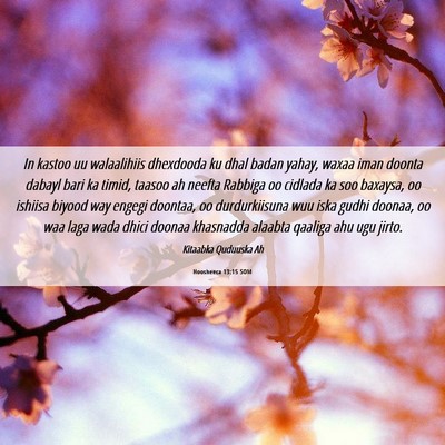 Picture 06 - Hoosheeca 13:15 SOM - In kastoo uu walaalihiis dhexdooda ku dhal badan - Bible Verse Picture