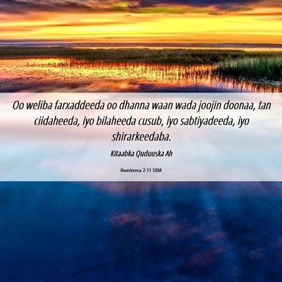 Picture 06 - Hoosheeca 2:11 SOM - Oo weliba farxaddeeda oo dhanna waan wada joojin - Bible Verse Picture