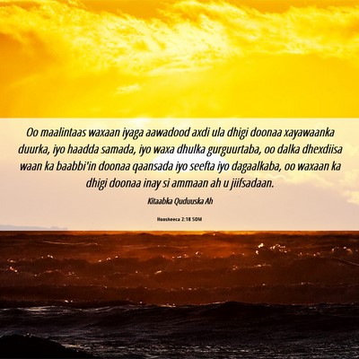 Picture 06 - Hoosheeca 2:18 SOM - Oo maalintaas waxaan iyaga aawadood axdi ula - Bible Verse Picture