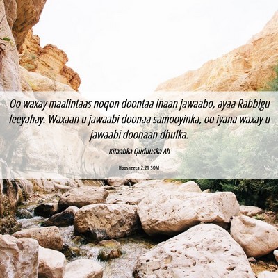 Picture 06 - Hoosheeca 2:21 SOM - Oo waxay maalintaas noqon doontaa inaan jawaabo, - Bible Verse Picture
