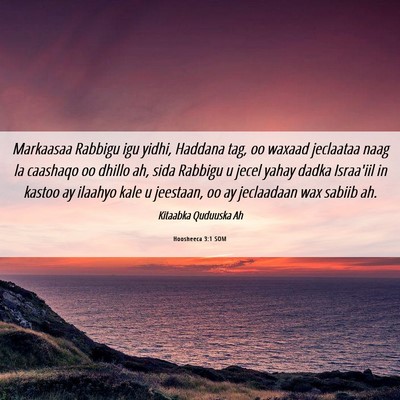 Picture 06 - Hoosheeca 3:1 SOM - Markaasaa Rabbigu igu yidhi, Haddana tag, oo - Bible Verse Picture