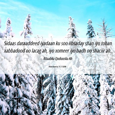 Picture 06 - Hoosheeca 3:2 SOM - Sidaas daraaddeed iyadaan ku soo iibsaday shan - Bible Verse Picture