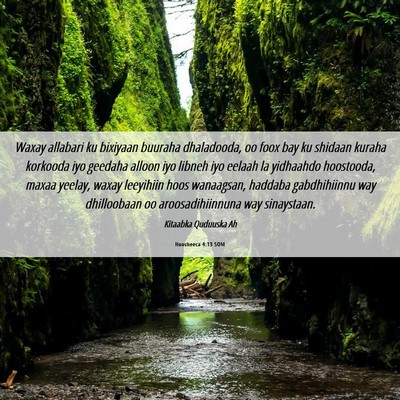Picture 06 - Hoosheeca 4:13 SOM - Waxay allabari ku bixiyaan buuraha dhaladooda, oo - Bible Verse Picture