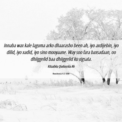 Picture 06 - Hoosheeca 4:2 SOM - Innaba wax kale laguma arko dhaarasho been ah, - Bible Verse Picture