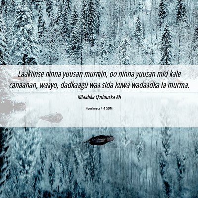 Picture 06 - Hoosheeca 4:4 SOM - Laakiinse ninna yuusan murmin, oo ninna yuusan - Bible Verse Picture