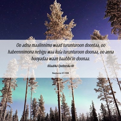 Picture 06 - Hoosheeca 4:5 SOM - Oo adna maalinnimo waad turunturoon doontaa, oo - Bible Verse Picture