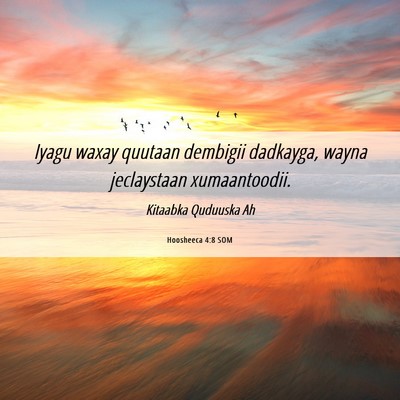 Picture 06 - Hoosheeca 4:8 SOM - Iyagu waxay quutaan dembigii dadkayga, wayna - Bible Verse Picture