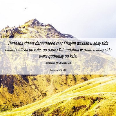 Picture 06 - Hoosheeca 5:12 SOM - Haddaba sidaas daraaddeed reer Efrayim waxaan u - Bible Verse Picture